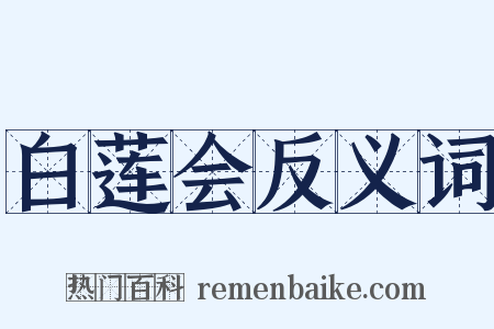 白莲会反义词是什么意思的图片